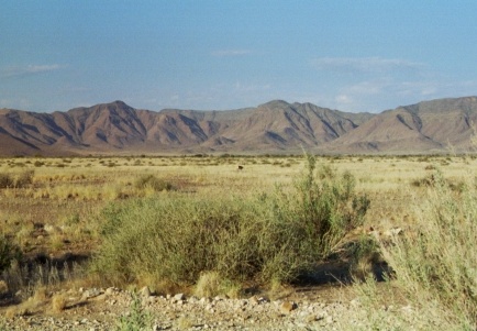 03-Namibia-2003