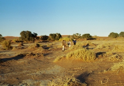 11-Namibia-2003