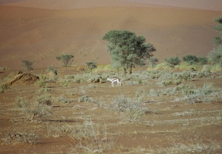 15-Namibia-2003