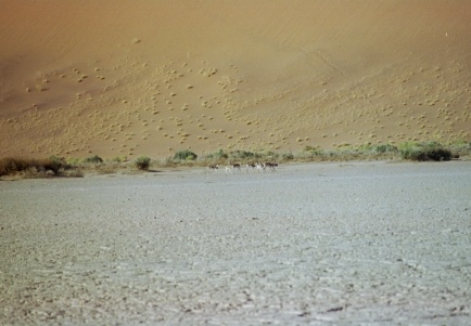 16-Namibia-2003