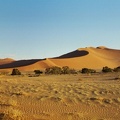 36-Namibia-2003