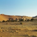 37-Namibia-2003