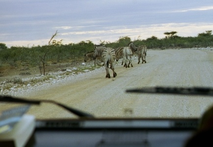 59-Namibia-2003