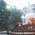 Buddhapark-Swyambhunath-Stupa 17