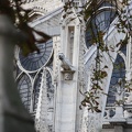 Notre Dame de Paris 11
