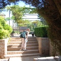 Alhambra-Katzen 1