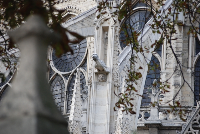 Notre Dame de Paris 11