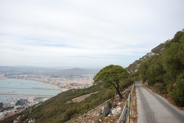 Gibraltar_36.JPG