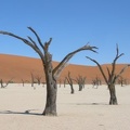 Bild 076