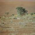 15-Namibia-2003