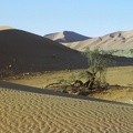 19-Namibia-2003