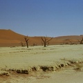 31-Namibia-2003