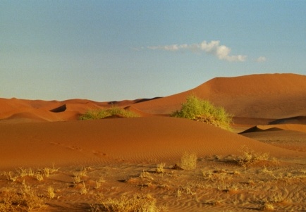 32-Namibia-2003