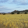 46-Namibia-2003