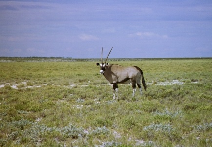 52-Namibia-2003
