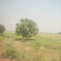 Zugfahrt-nach-Jhansi 12