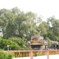 Sarnath 05