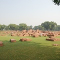 Sarnath 15