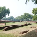 Sarnath 23