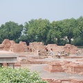 Sarnath 29