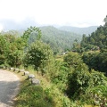 Chitwan Nat Park 27