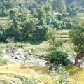 Chitwan Nat Park 28