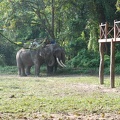 Chitwan Nat Park 50