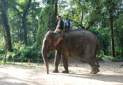 Elefanten-Brifing 23