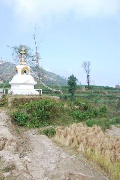 Namo-Buddha 029