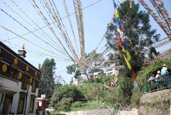 Buddhapark-Swyambhunath-Stupa 50
