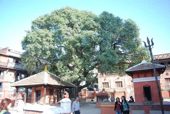 Patan-Durbar-Square 56