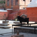 Patan-Durbar-Square 57
