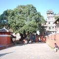 Patan-Durbar-Square 61