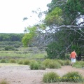 Flinders Chase NP019