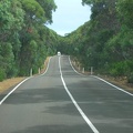 Flinders Chase NP020