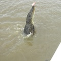 Jumping Crocodile Cruise26