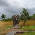 Kakadu NP145
