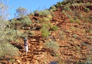 Kings Canyon022