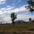 Olgas Kata Tjuta029