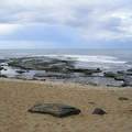 Shelly Beach052