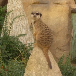 Im Zoo am 31-10-2006