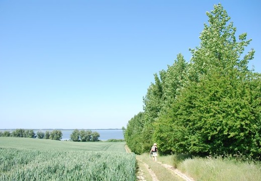 Ostsee-2008 0187