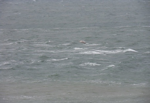 Atlantikkueste Normandie - Frankreich Kurzurlaub 2011