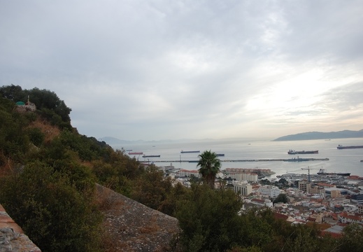 Gibraltar 44