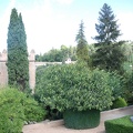 Alhambra-Pflanzen 36