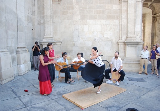 Flamenco Taenzerinen 8