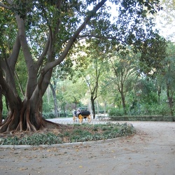 Plaza-de-Espana und Park Maria-Luisa