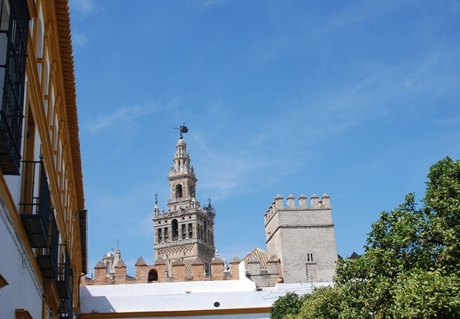 Sevilla 41