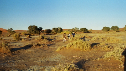 11-Namibia-2003