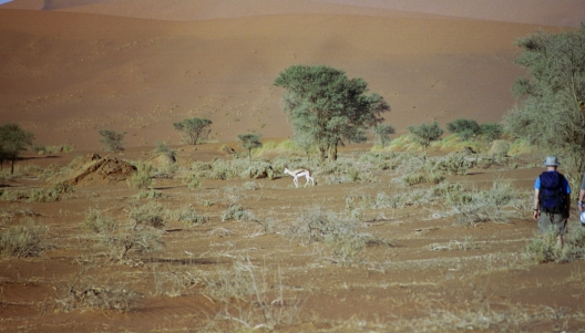 15-Namibia-2003.jpg
